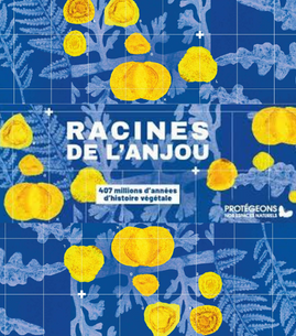 Exposition - Racines de l'Anjou : 407 millions d’années d’histoire végétale