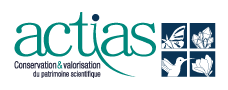 Actias