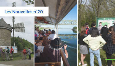 Les Nouvelles N°20 - Actualités du Pôle Patrimoine et du réseau