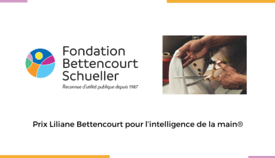 Prix Liliane Bettencourt pour l'intelligence de la main® 2023 - Candidatures ouvertes