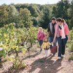 Pays d'art et d'histoire et Musée du vignoble nantais, Vendanges en famille, © David Gallard